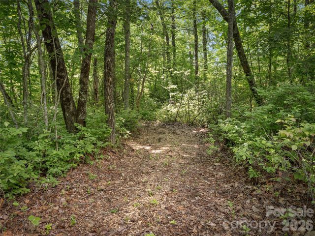 Lot 42 Spencer Lane MR42, Lake Toxaway, NC 28747