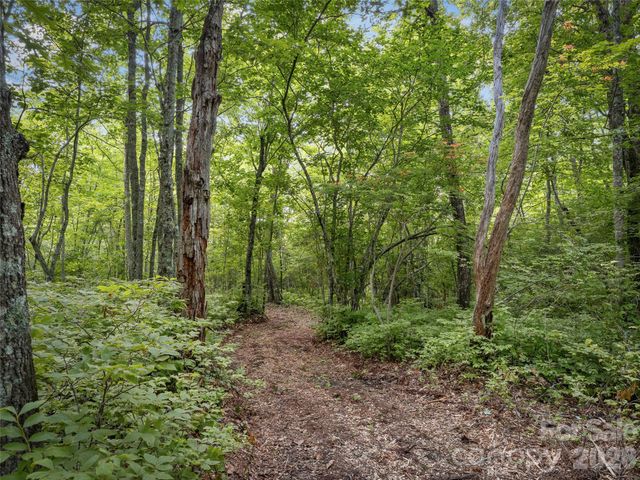 Lot 42 Spencer Lane MR42, Lake Toxaway, NC 28747