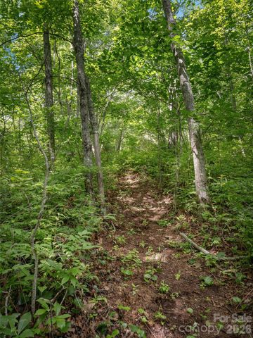 Lot 42 Spencer Lane MR42, Lake Toxaway, NC 28747