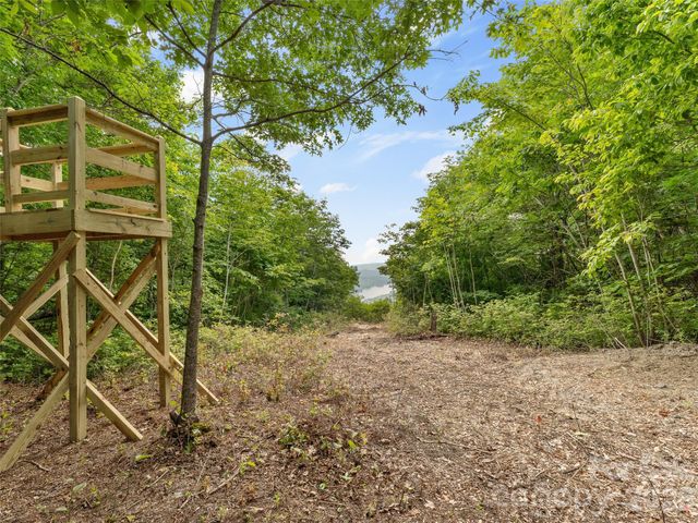 Lot 42 Spencer Lane MR42, Lake Toxaway, NC 28747