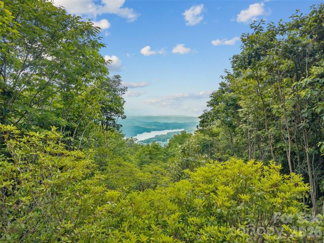 Lot 42 Spencer Lane MR42, Lake Toxaway, NC 28747