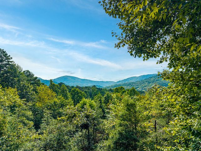 153 Beavers Cove Road, Morganton, GA 30560