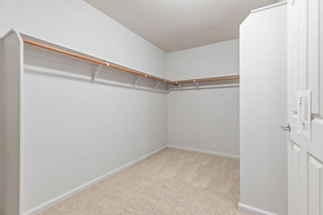 351 Ruess Rd, Ripon, CA 95366