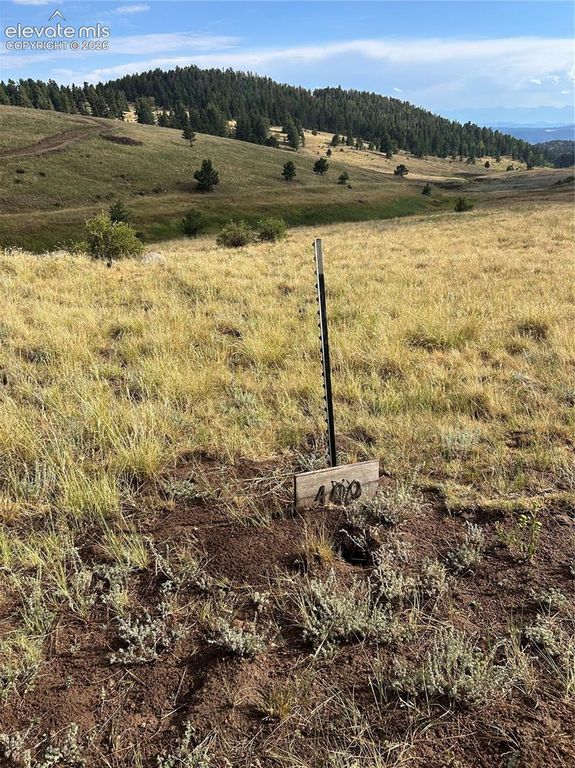 1100 Grumpy Burrow View, Cripple Creek, CO 80863 — exterior