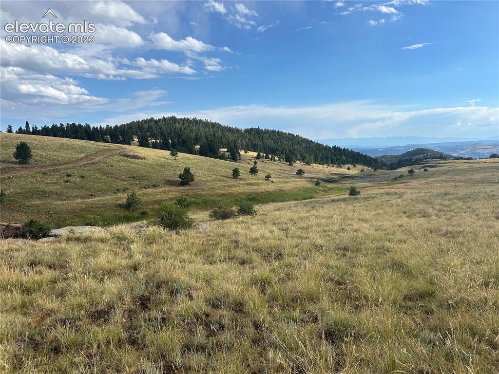 1100 Grumpy Burrow View, Cripple Creek, CO 80863 — photo 2