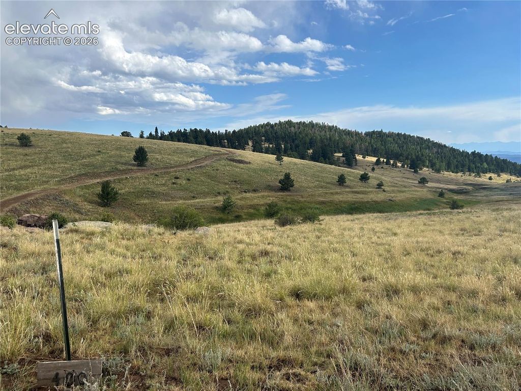 1100 Grumpy Burrow View, Cripple Creek, CO 80863 — photo 3