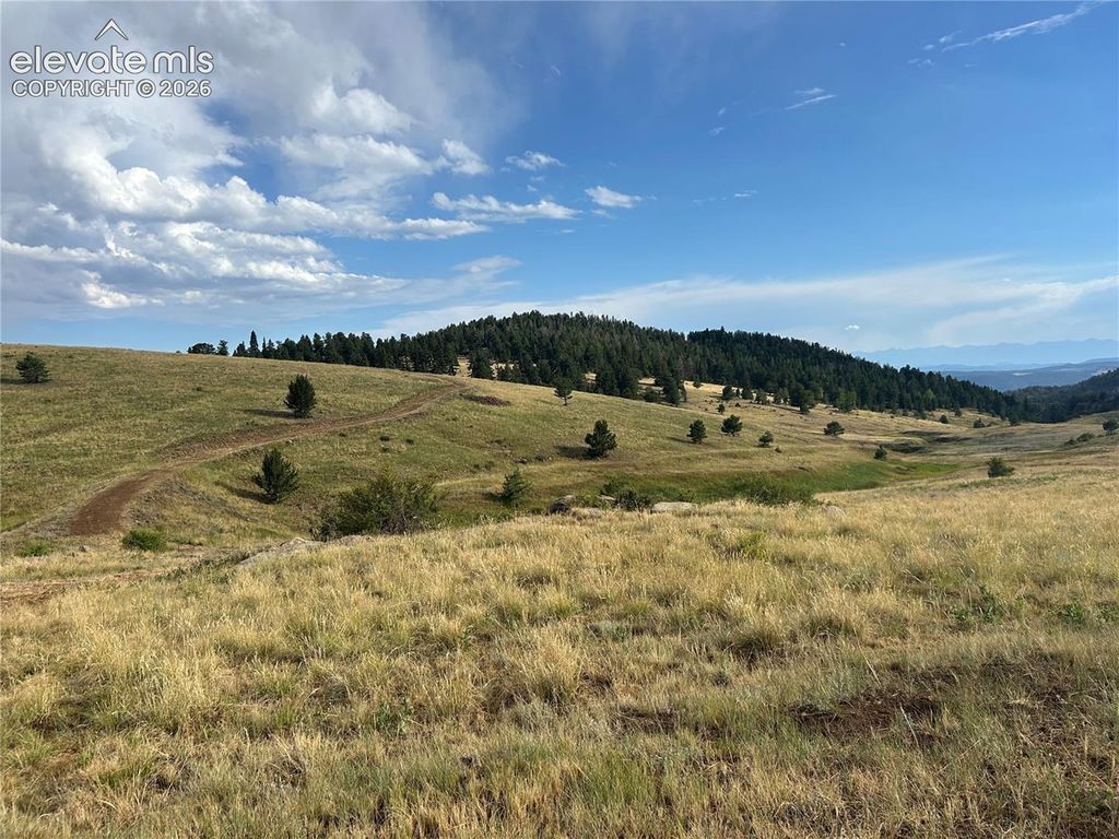 1100 Grumpy Burrow View, Cripple Creek, CO 80863 — photo 4