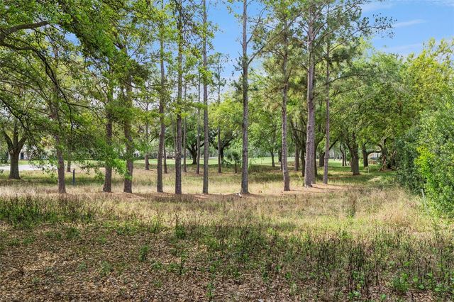 6110 KEENES POINTE DRIVE, Windermere, FL 34786