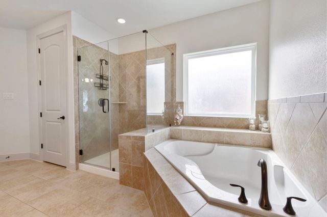 307 Council Oak Court, Magnolia, TX 77354