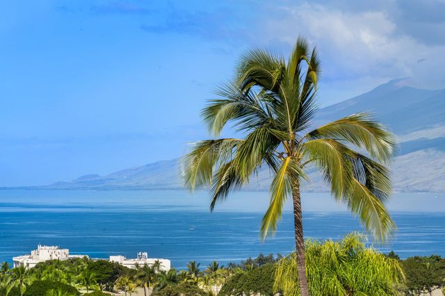 3878 Wailea Ekolu Pl, Kihei, HI 96753