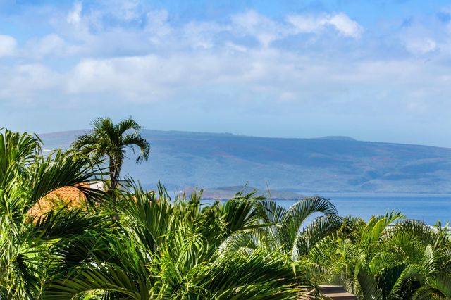 3878 Wailea Ekolu Pl, Kihei, HI 96753