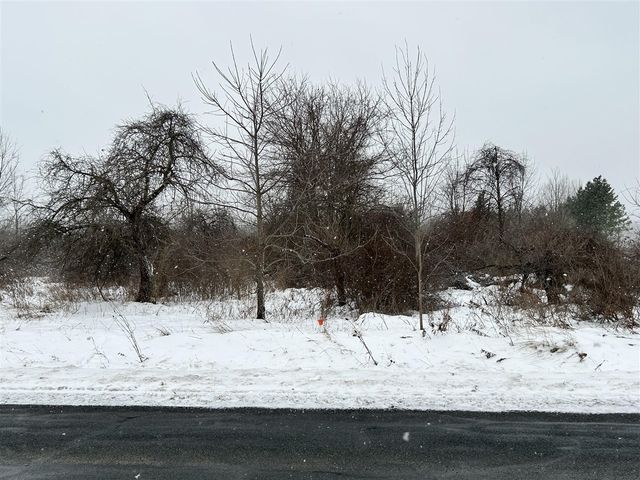 1614 66th Street, Fennville, MI 49408