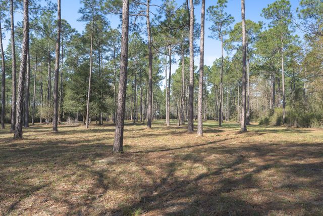 1482 N Planters Drive, Laurel Hill, FL 32567