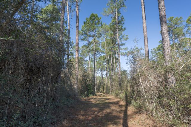 1482 N Planters Drive, Laurel Hill, FL 32567