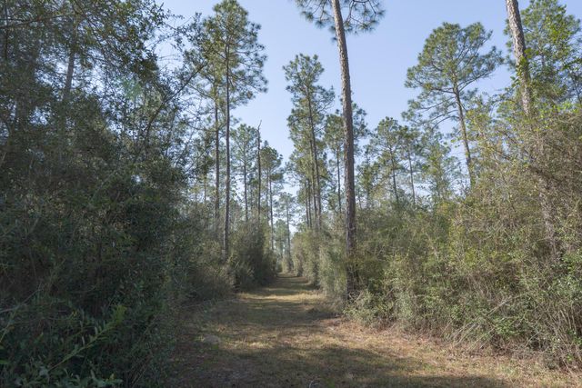 1482 N Planters Drive, Laurel Hill, FL 32567