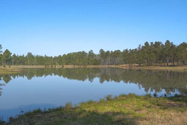 1482 N Planters Drive, Laurel Hill, FL 32567