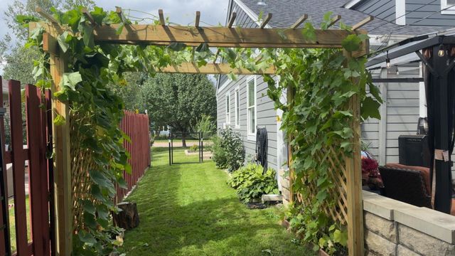 6439 Olympia Street, Golden Valley, MN 55427