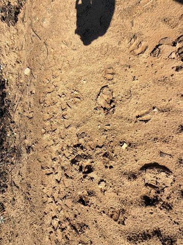 TBD Cr 4800, Warren, TX 77664