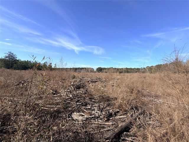 TBD Cr 4800, Warren, TX 77664