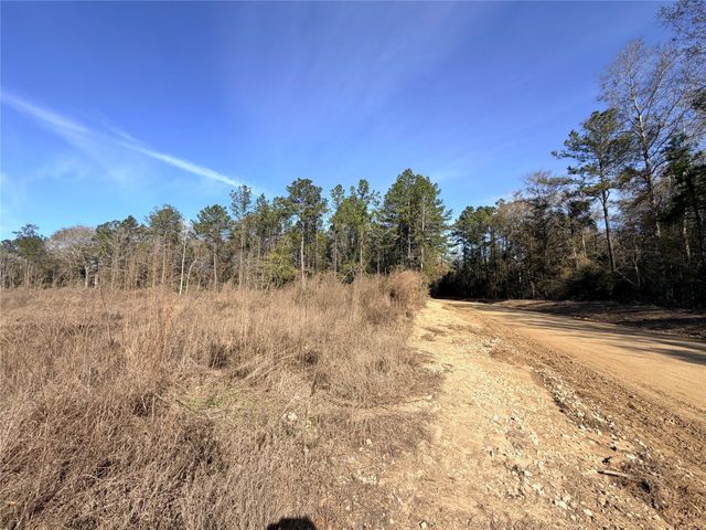 TBD Cr 4800, Warren, TX 77664