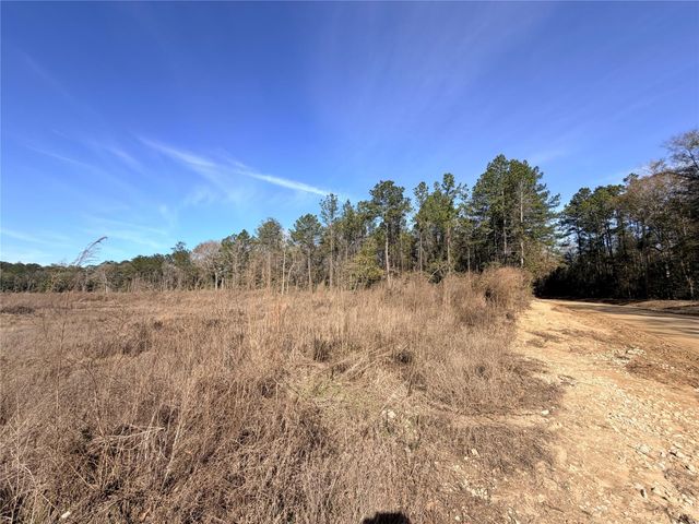 TBD Cr 4800, Warren, TX 77664