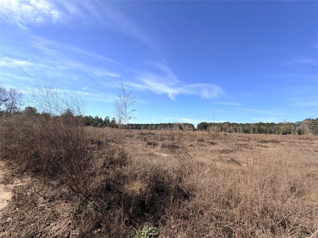 TBD Cr 4800, Warren, TX 77664