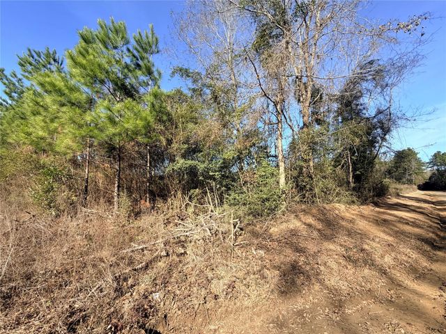 TBD Cr 4800, Warren, TX 77664