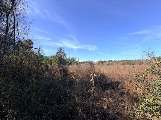 TBD Cr 4800, Warren, TX 77664