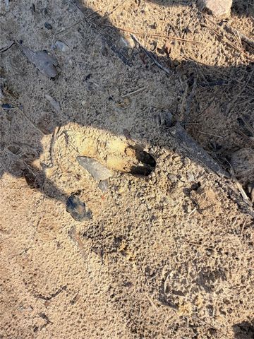 TBD Cr 4800, Warren, TX 77664