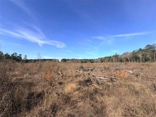 TBD Cr 4800, Warren, TX 77664