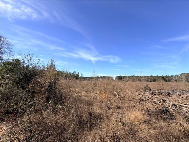 TBD Cr 4800, Warren, TX 77664