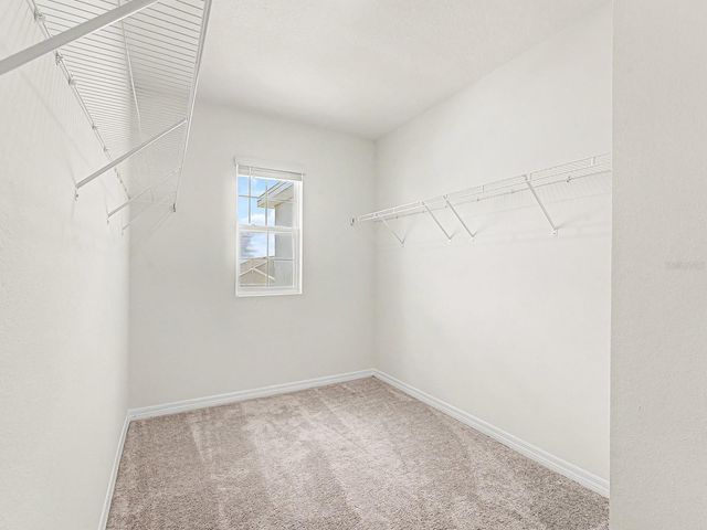 31448 PENNY SURF LOOP, Wesley Chapel, FL 33545
