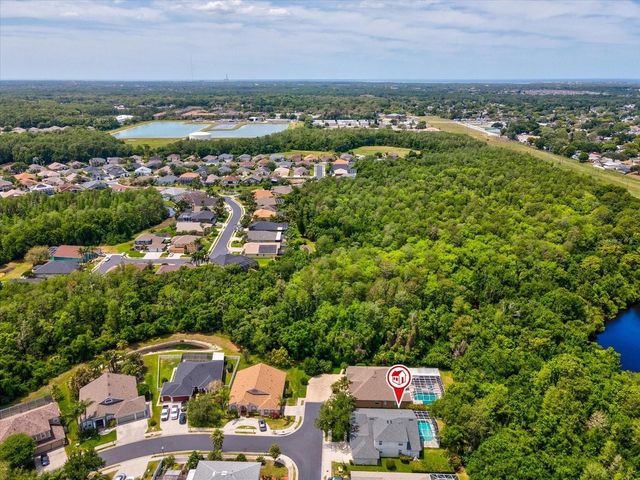 7935 CALINDRA COURT, Trinity, FL 34655