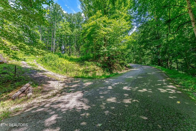 229 Sonshine Ridge Rd, Cosby, TN 37722