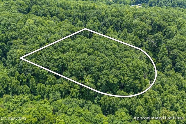 229 Sonshine Ridge Rd, Cosby, TN 37722