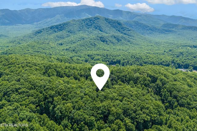 229 Sonshine Ridge Rd, Cosby, TN 37722