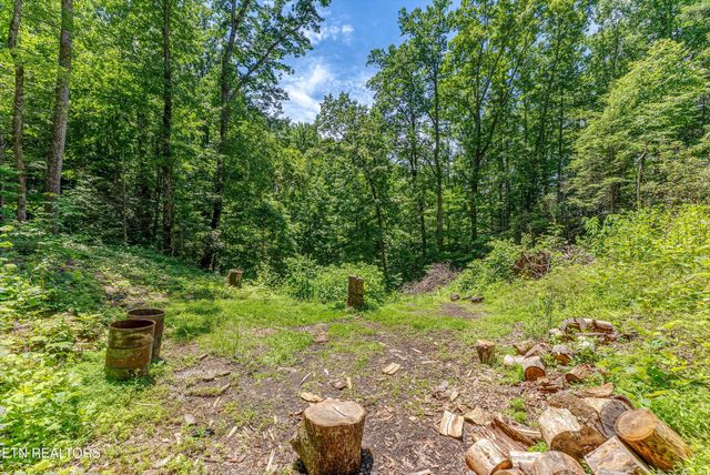 229 Sonshine Ridge Rd, Cosby, TN 37722