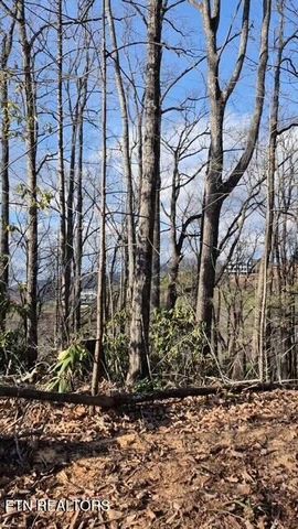 229 Sonshine Ridge Rd, Cosby, TN 37722