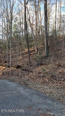 229 Sonshine Ridge Rd, Cosby, TN 37722