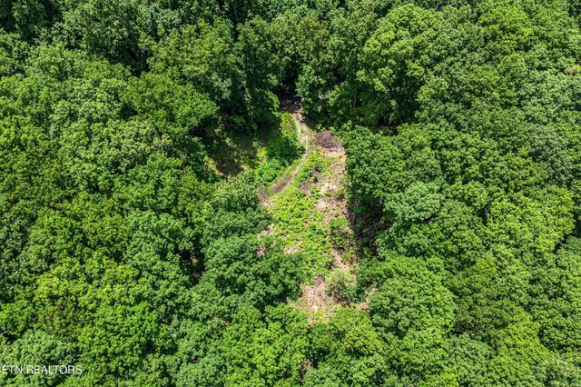 229 Sonshine Ridge Rd, Cosby, TN 37722