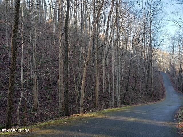 229 Sonshine Ridge Rd, Cosby, TN 37722