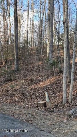 229 Sonshine Ridge Rd, Cosby, TN 37722