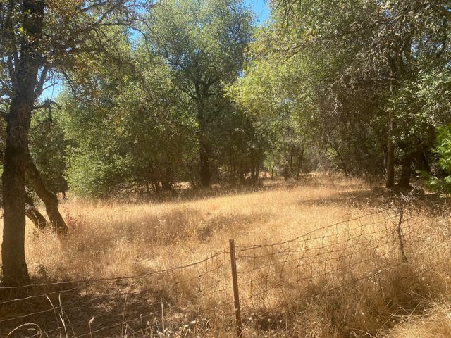 14572 La Place Ln, Dobbins, CA 95935