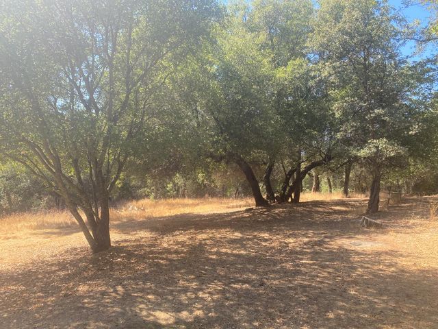 14572 La Place Ln, Dobbins, CA 95935