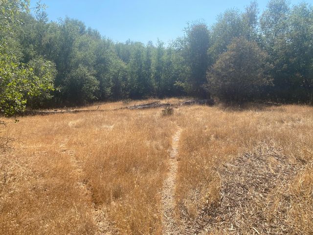 14572 La Place Ln, Dobbins, CA 95935