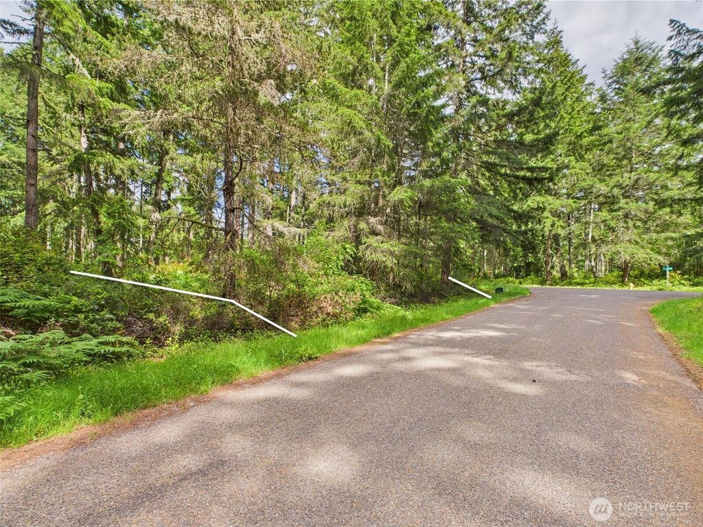 10915 Maple Place, Anderson Island, WA 98303