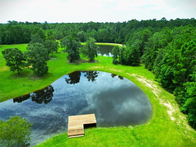 8071 Stacy Diane Drive, Montgomery, TX 77316
