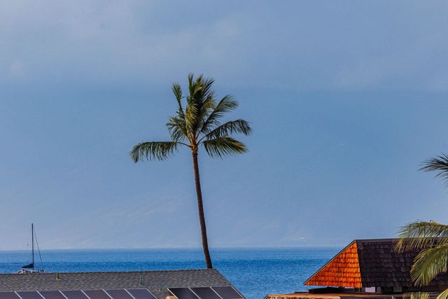 3708 Lower Honoapiilani Rd Apt 33, Lahaina, HI 96761