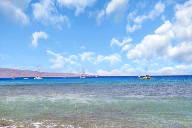 3708 Lower Honoapiilani Rd Apt 33, Lahaina, HI 96761