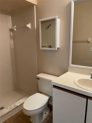 1317 LUCAYA CIRCLE, Orlando, FL 32824